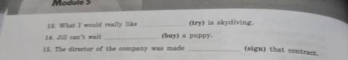 Fill in the gaps with the correct form of the verbs in brackets: to- infinitive, infinitive without