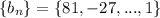 \{b_n\}=\{81, -27, ..., 1\}