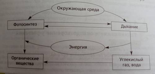 Приведите примеры к прикрепленной схеме