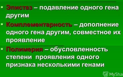 Дати визначення таким термінам:*Комплементарність * Епістаз* Полімерія