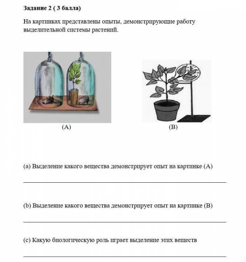 со вторым заданием можно полный ответ