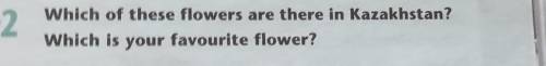 2 Which of these flowers are there in Kazakhstan? Which is your favourite flower?