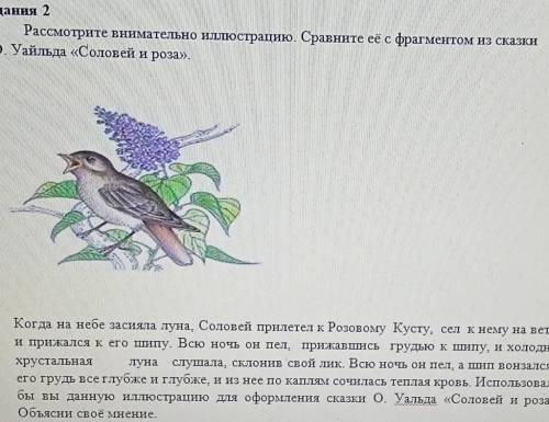 Задание 2. Рассмотрите внимательно иллюстрацию. Сравните ее с франгметом сказки Соловей и роза