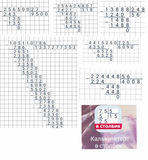 РАБОТА В ПАРЕ 5 Вычисли с проверкой. 256 500:27 105 110:786 256 626: 807 13 888: 248 4 415 250: 725