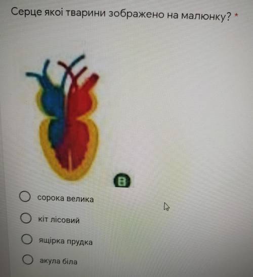 Серце якоі тварини зображено на малюнку