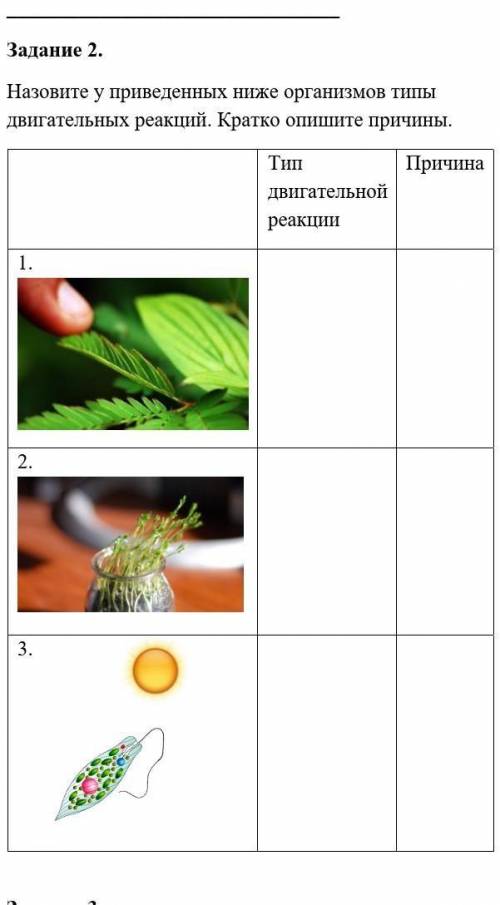 Задание 2.Назовите у приведенных ниже организмов типы двигательных реакций. Кратко опишите причины. 