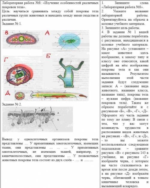 с лабораторной по биологии 7 класс.