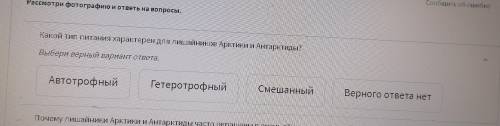 , с этим вопросом. Фото с верху, он не большой