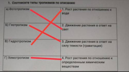 1. Соотнесите типы тропизмов по описанию А) Фототропизм 1. Рост растения по отношению к воде Б) Геот