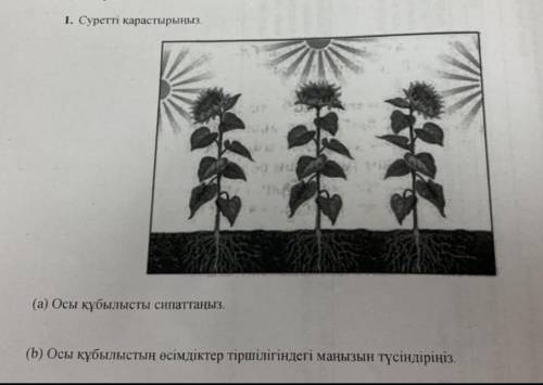 1. Суретті карастырыны (а) Осы кубылысты сипаттаныз (b) Осы кубылыстын өсімдіктер тiршiлiгiндегi ман