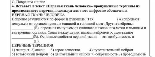 Ставьте текст нервная ткань человекапропущенные термины из предложенного перечня