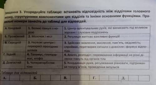 До іть Упорядкуйте таблицю:встановіть відповідність Є скрін шот