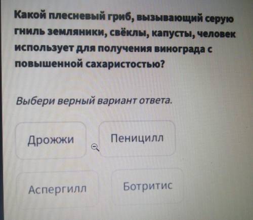 Какой плесневый гриб вызывающее серую гниль земляники