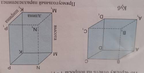 Перечисли скрещивающиеся рёбра в кубе и прямоугольном параллелепипеде.