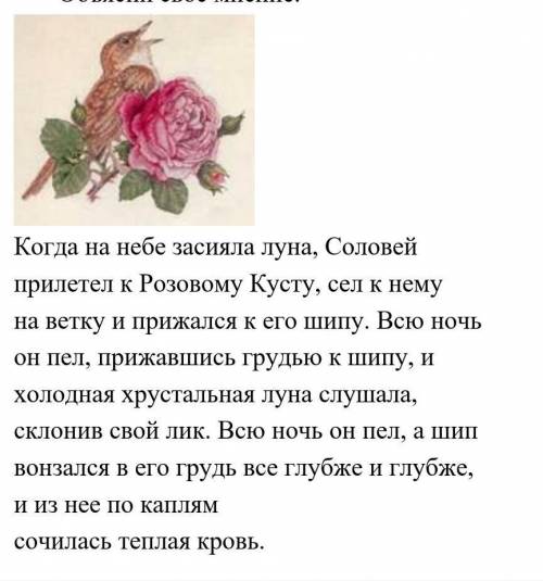 1) Рассмотрите внимательно иллюстрацию. Сравните её с фрагментом из сказки О. Уайльда «Соловей и роз