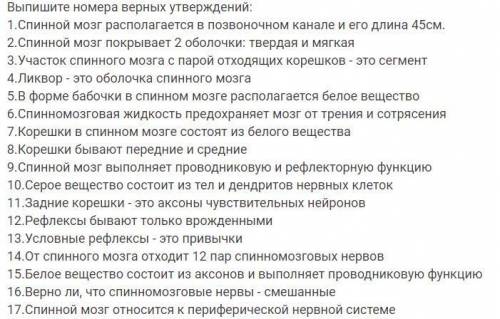 Выберите верное утверждение