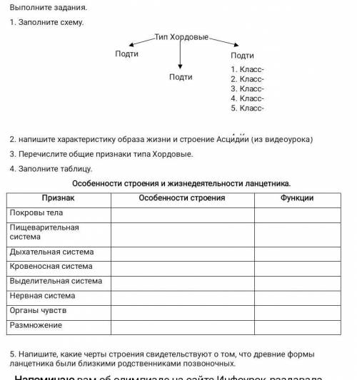 , биология 7 класс, лабораторная