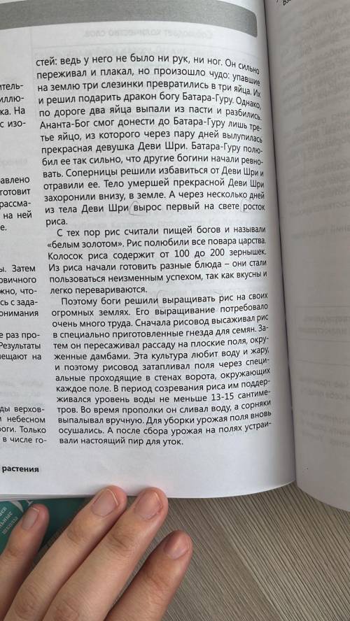 9. Запишите 3-5 предложений по каждому пункту. Как выращивают рис, Рис — белое золото, Легенда о поя