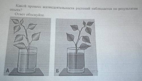 Какой процесс жизнедеятельности растений наблюдается по результатам ? ответ объясните.