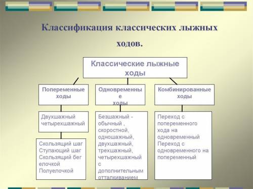 Лыжные гонки – зимний олимпийский вид спорта, в котором спортсменам необходимо преодолеть определенн