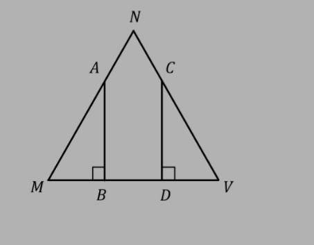 Дано MN=NV,AB перепендикулярно до MV CD перпендикулярно до MV,MB=DV.Доведіть що AB=CD