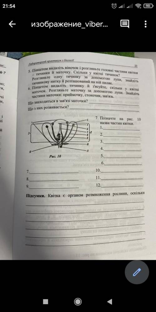 ,написать частини квітки (фотку добавила) дз до завтра . Биология 6 кл