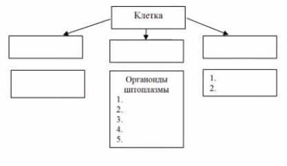 ОЧЕНЬ Назовите основные компоненты клетки