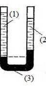 . В вертикальные сообщающиеся сосуды поверх ртути (3) налиты различные жидкости. В один сосуд — стол