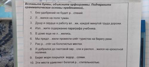 Вставьте буквы, объясните орфограмы. Подчеркните грамматические основы предложений. Всё на фотке, Оч