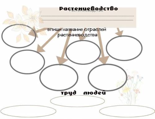 Решите .  (Сестра в 3 классе учится это ей задали лень)