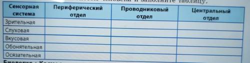 Сенсорная Периферический отдел система Проводниковый отдел Центральный отдел Зрительная Слуховая Вку