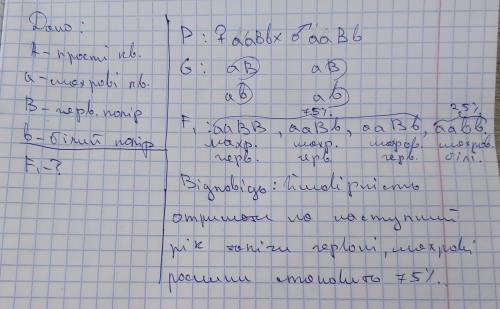 У айстр ген , що зумовлює махровість квітів, виступає як рецесивна ознака по відношенню до гена прос