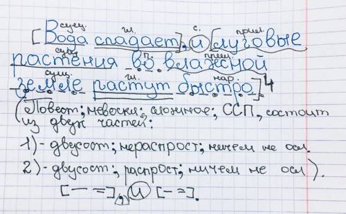 Вода спадает, и луговые растения во влажной земле растут быстро. синтаксичиский разбор предложения !