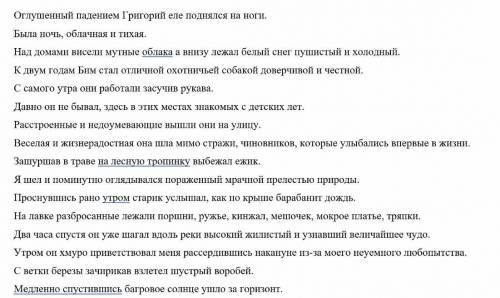 РАСТАВИТЬ ЗАПЯТЫЕ: Оглушенный падением Григорий еле поднялся на ноги. Была ночь, облачная и тихая. Н