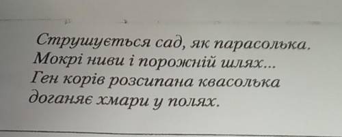 7. Прочитайте уривок із поезії «Дощ полив» Л. Костенко. Визначте його віршовий розмір. Запишіть.