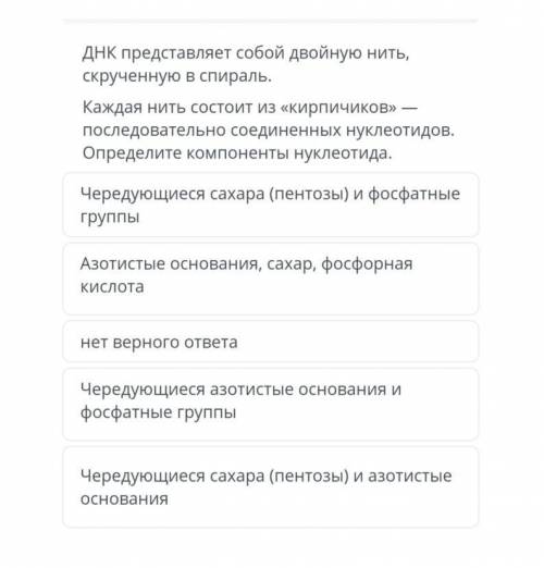 ДНК представляет собой двойную нить, скрученную в спираль. Каждая нить состоит из «кирпичиков» — пос