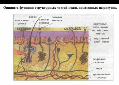 СОР маленький ответ написать