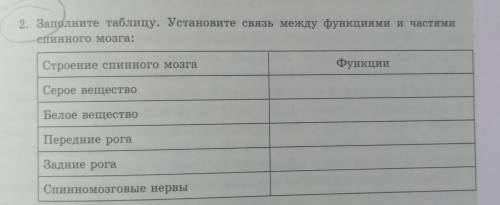 2. Заполните таблицу. Установите связь между функциями и частями спинного мозга: Строение спинного м