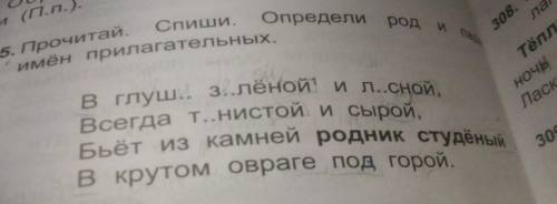 Прочитай Спиши Определи род и падеж имён прилагательных