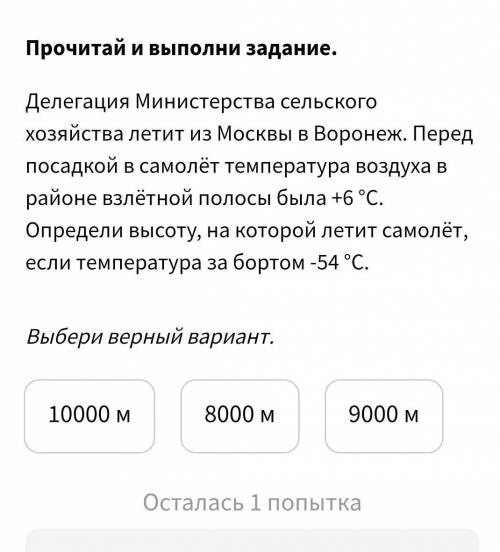 Делегация Министерства сельского хозяйства летит из Москвы в Воронеж. Перед посадкой в самолёт темпе