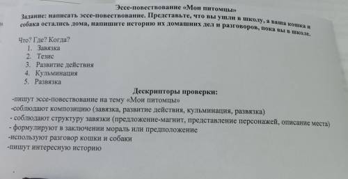 Эссе-повествование «Мои питомцы» Задание: Написать эссе-повествование. Представьте, что вы ушли в шк