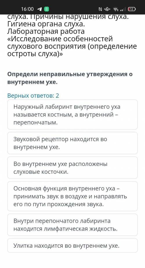 Определи неправильные утверждения о внутреннем ухе. Верных ответов: 2 Наружный лабиринт внутреннего 