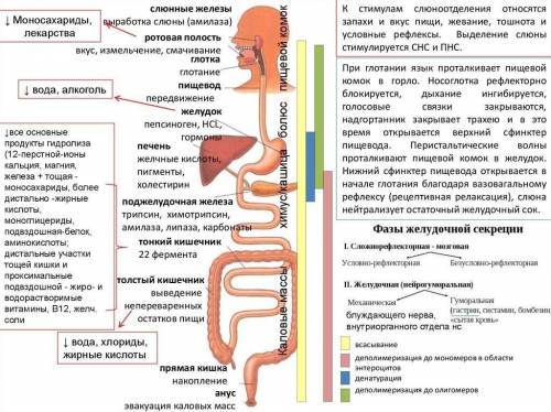 Сделайте вывод по картинке.