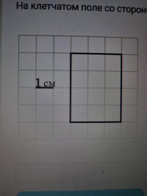 на клетчатом поле со стороной 1 см изображён прямоугольник Найдите площадь этого прямоугольника в см