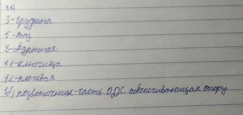 Время выполнения 20 минут 2. ЗАДАНИЯ. 1. а) Определите, что на рисунке обозначено цифрами? 3 581112