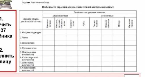 Таблица опорно-двигательная система, нужно расставить плюс или минус