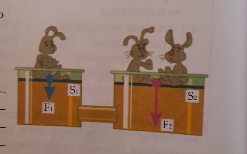 Массы зайцев на поршнях гидравлического пресса,находящегося в равновесии,одинаковы. Вычислите площад