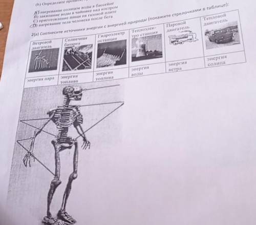 D) нагревание тела человека после сега 2(6) Соотнесите источники энергии с энергией природы (покажит