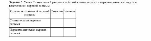 Укажи 2 сходства и 2 различия действий симпатических и парасимпатических отделов вегетативной нервно