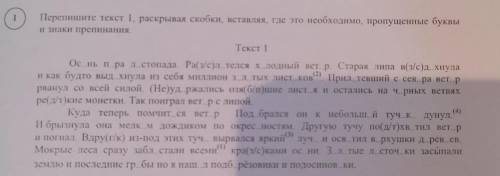 Перепишите текст 1, раскрывая скобки, вставляя, где это необходимо, пропущенные буквы и знаки препин